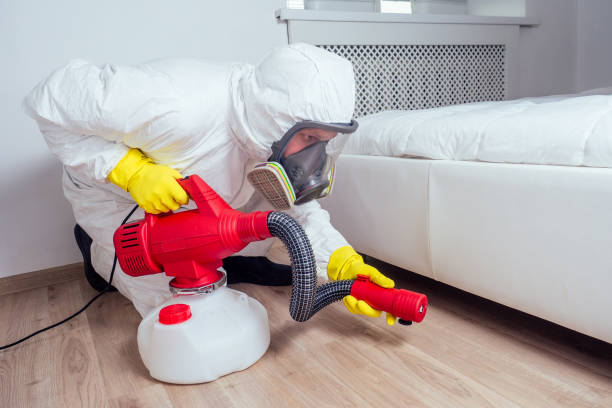 Best Termite Control Services  in Kraemer, LA