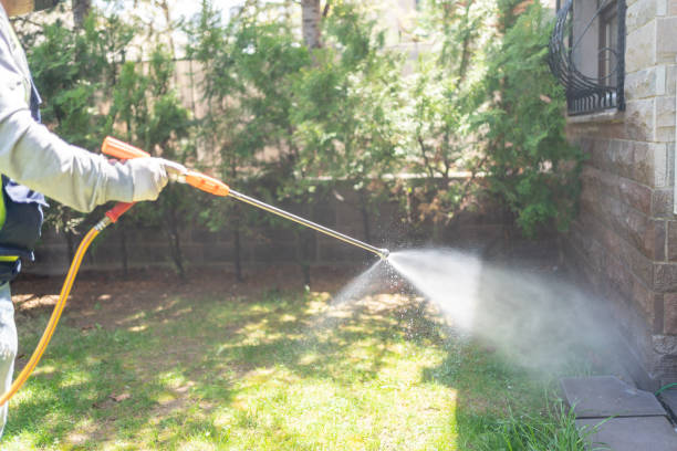 Spider Control Near Me in Kraemer, LA