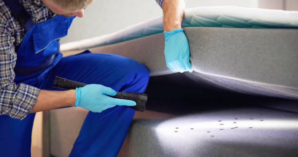 Best Best Pest Control Companies  in Kraemer, LA