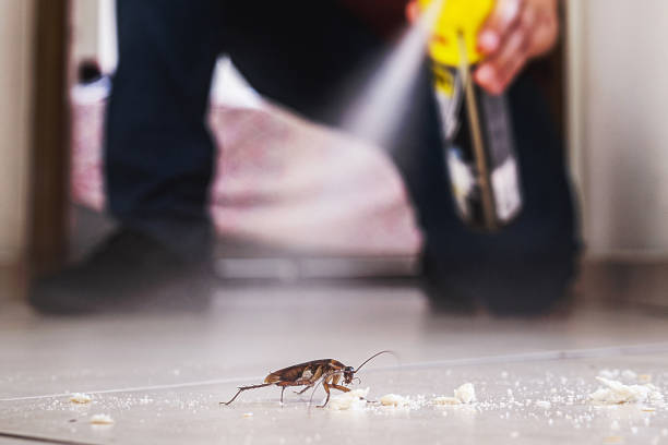 Best Mosquito Control Services  in Kraemer, LA