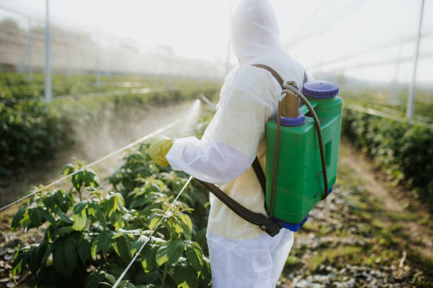 Best Bed Bug Extermination  in Kraemer, LA